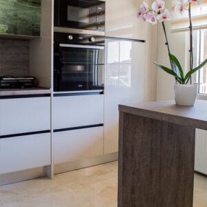 Plumeria - Image 8