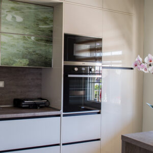 Plumeria - Image 6