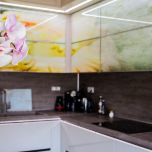 Plumeria - Image 2