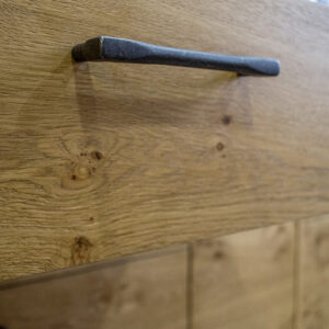 Platanus - Image 5