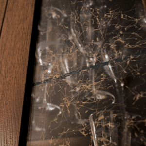 Welcome - Image 6